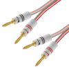 Nakamichi-Banana-plug-straight-2-sides-alt